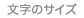 文字サイズ